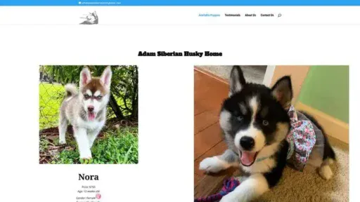 Screenshot of