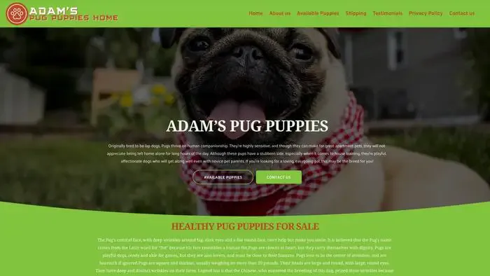 Screenshot of