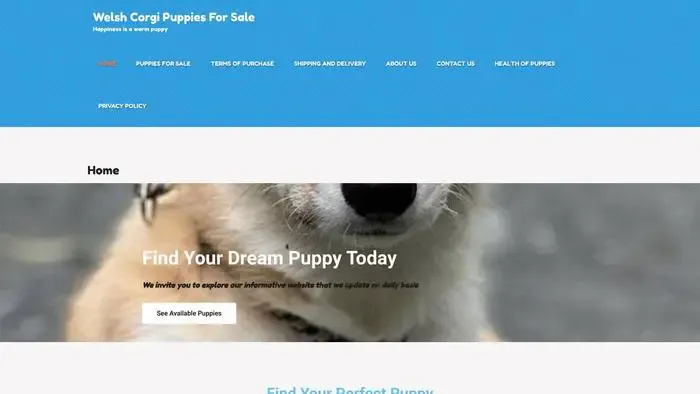 Screenshot of