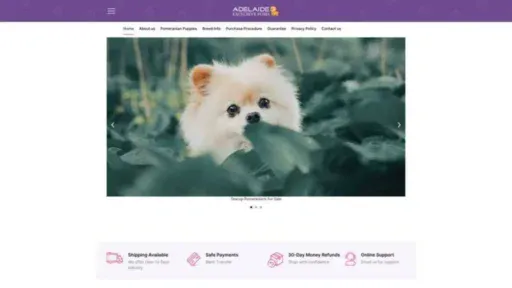 Screenshot of||