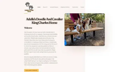 Screenshot of