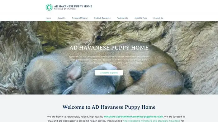 Screenshot of