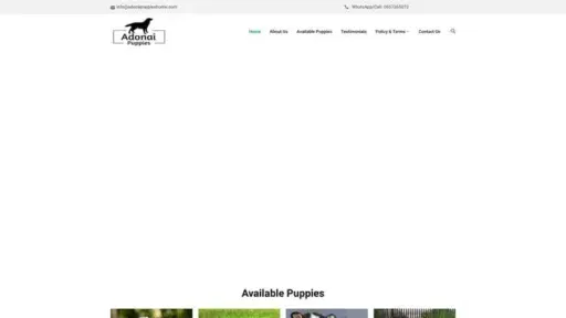 Screenshot of