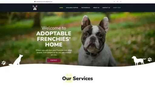 Screenshot of