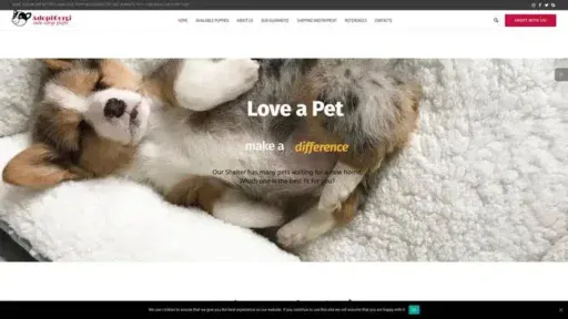 Screenshot of