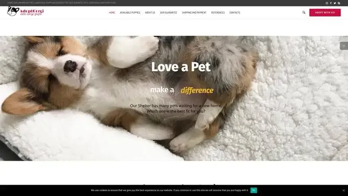 Screenshot of