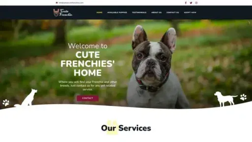 Screenshot of