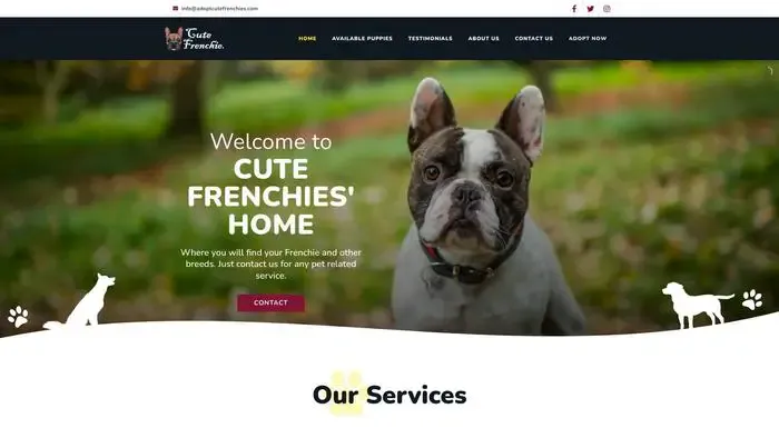 Screenshot of