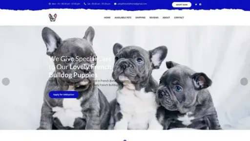 Screenshot of