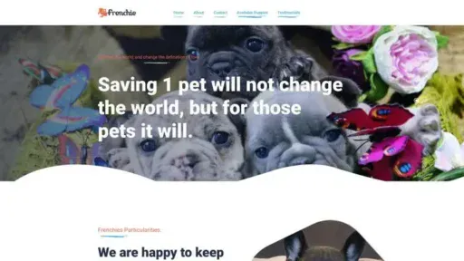 Screenshot of