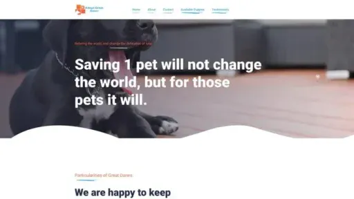 Screenshot of