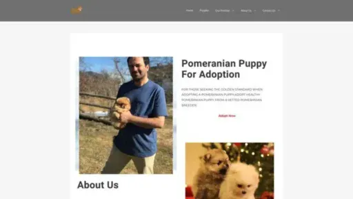 Screenshot of||