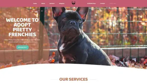 Screenshot of