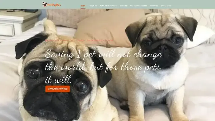 Screenshot of