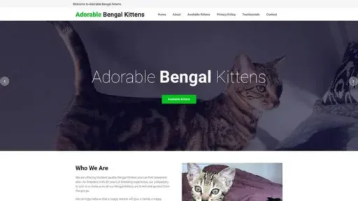 Screenshot of