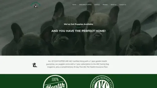 Screenshot of