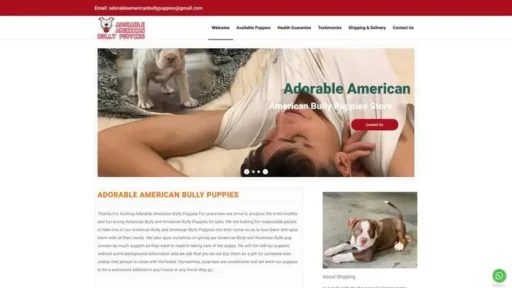 Screenshot of