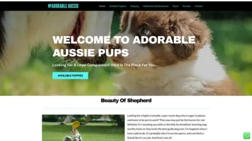Screenshot of