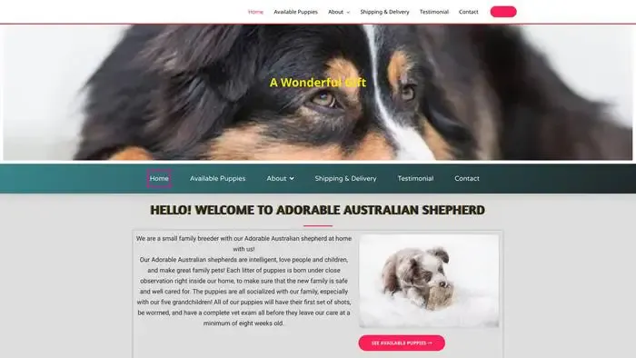 Screenshot of