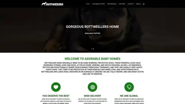 Screenshot of