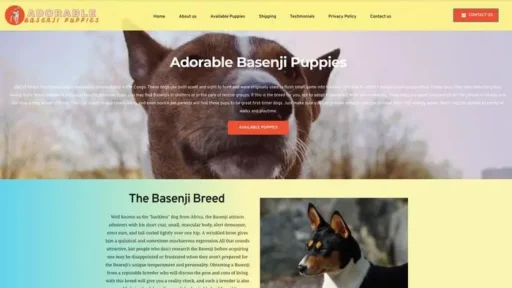 Screenshot of