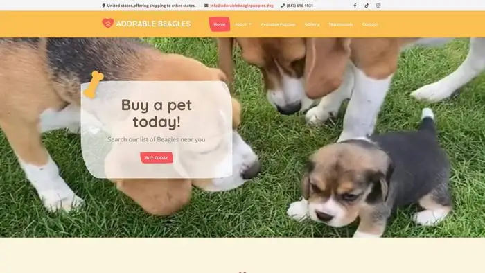 Screenshot of