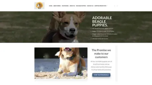 Screenshot of