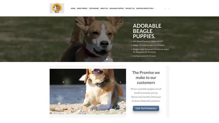 Screenshot of