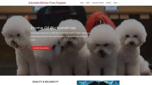 Screenshot of