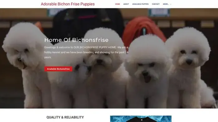 Screenshot of