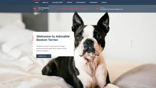 Screenshot of
