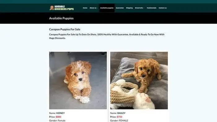 Screenshot of