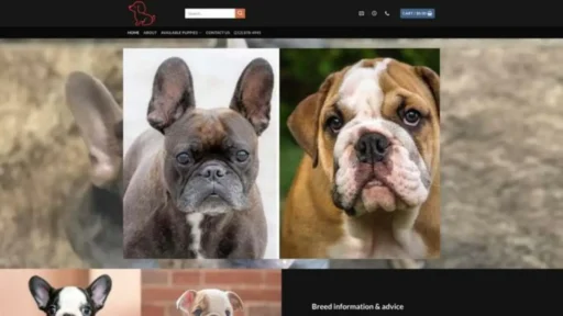 Screenshot of||