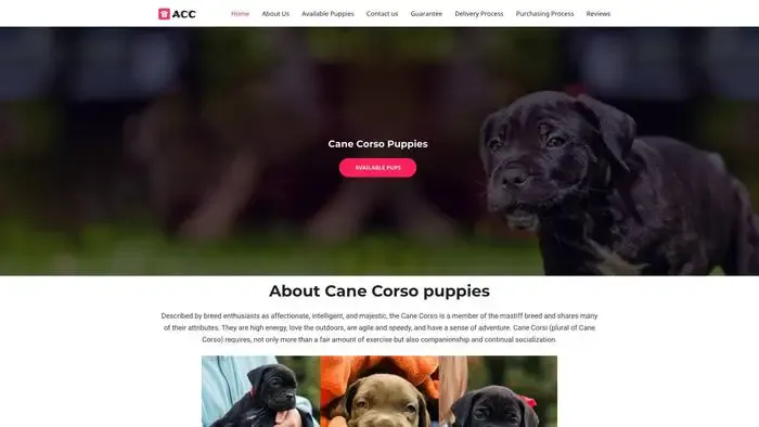 Screenshot of