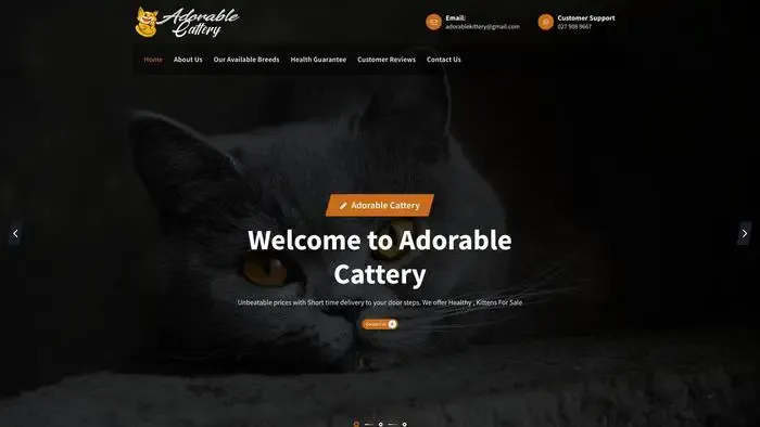 Screenshot of