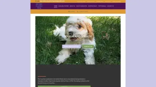 Screenshot of