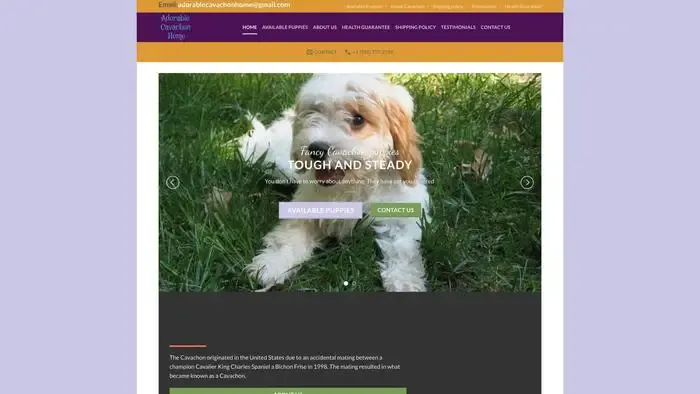 Screenshot of