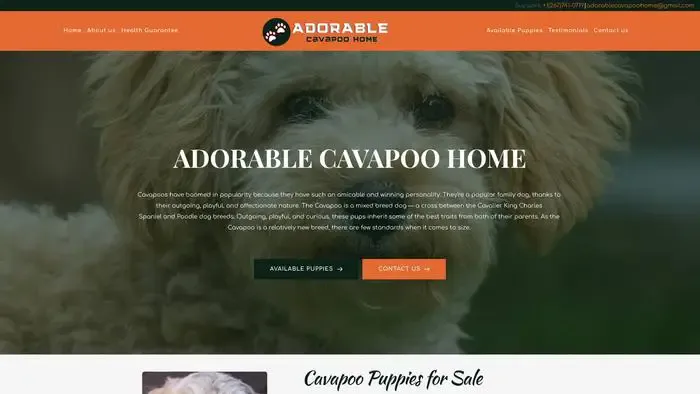 Screenshot of