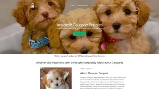 Screenshot of