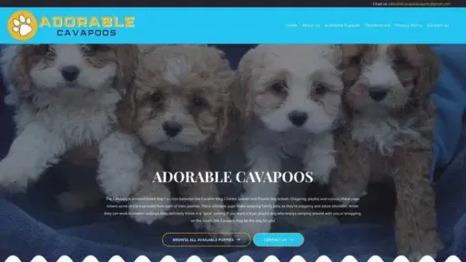 Screenshot of
