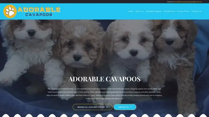Screenshot of