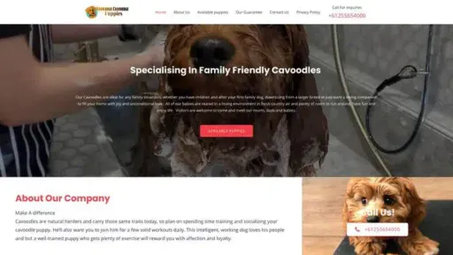 Screenshot of