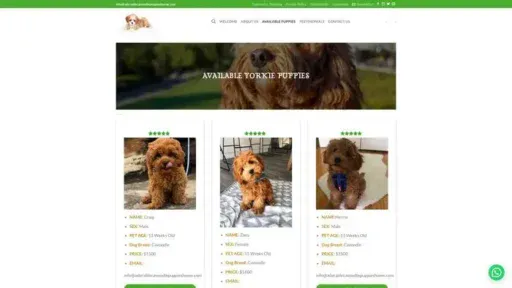 Screenshot of
