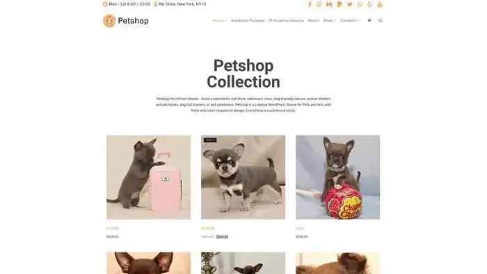 Screenshot of