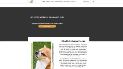 Screenshot of