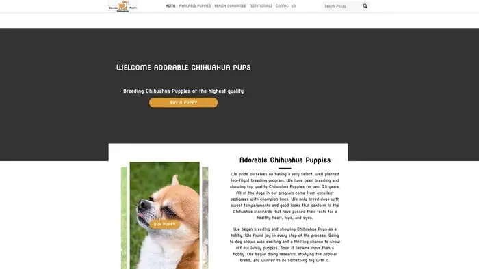 Screenshot of