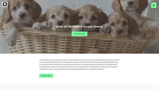 Screenshot of