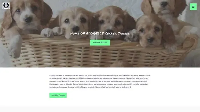 Screenshot of