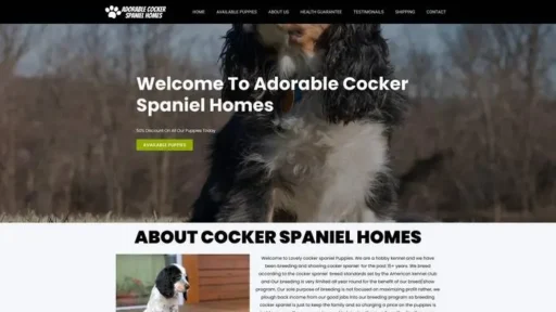 Screenshot of