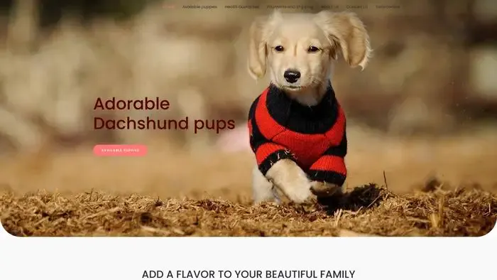 Screenshot of